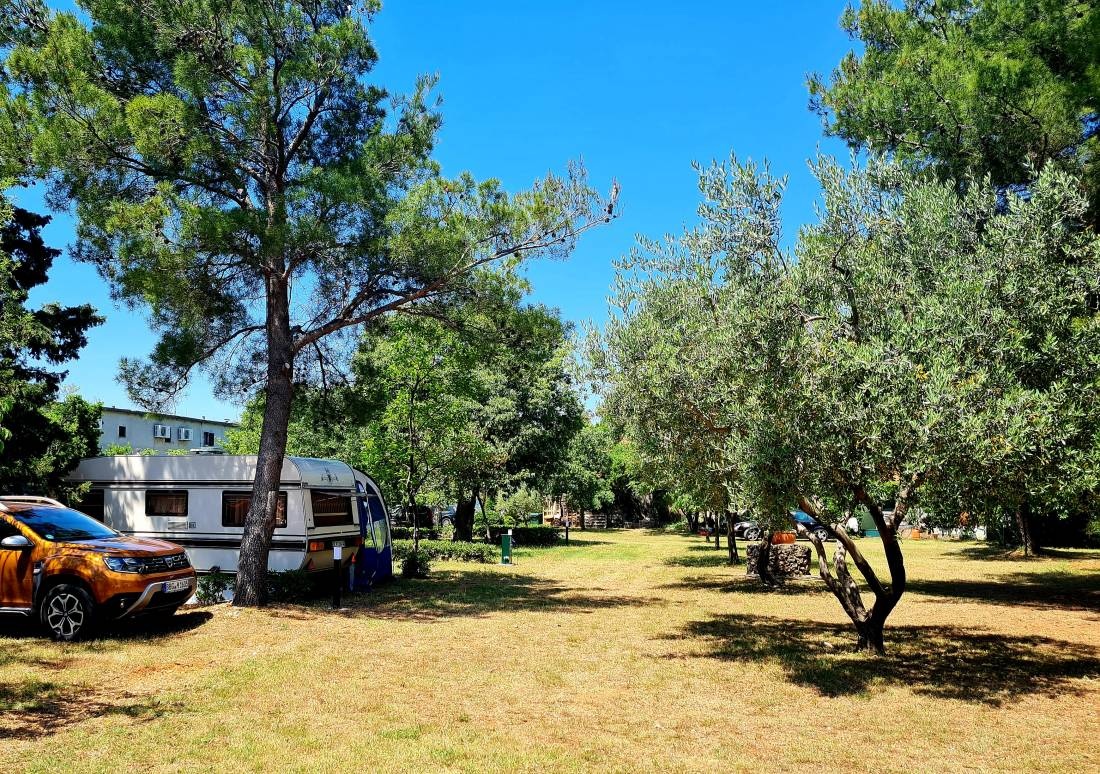 Autocamp Paron Šime — Campingplats in Starigrad