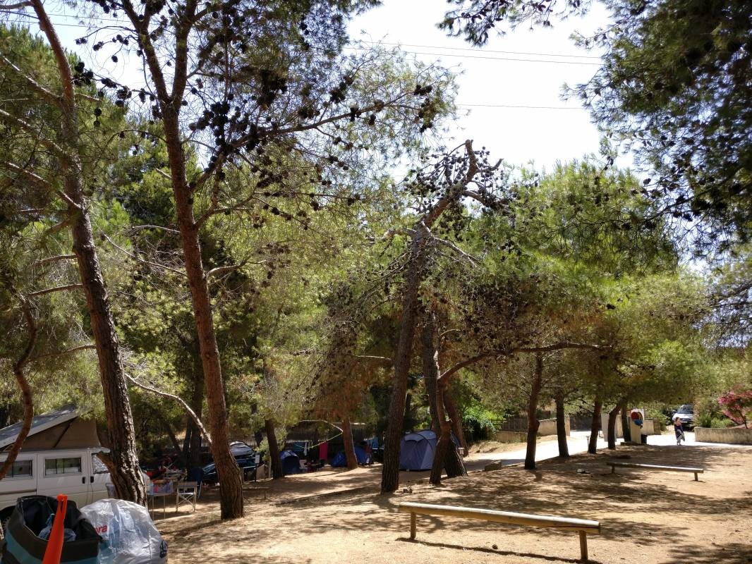 Camping Torraccia — Sítio de acampamento in Cargèse
