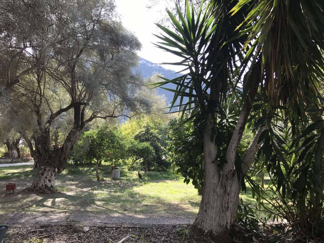 Beach Camping Santa Maura — Sítio de acampamento in Δημοτική Ενότητα Ελλομένου