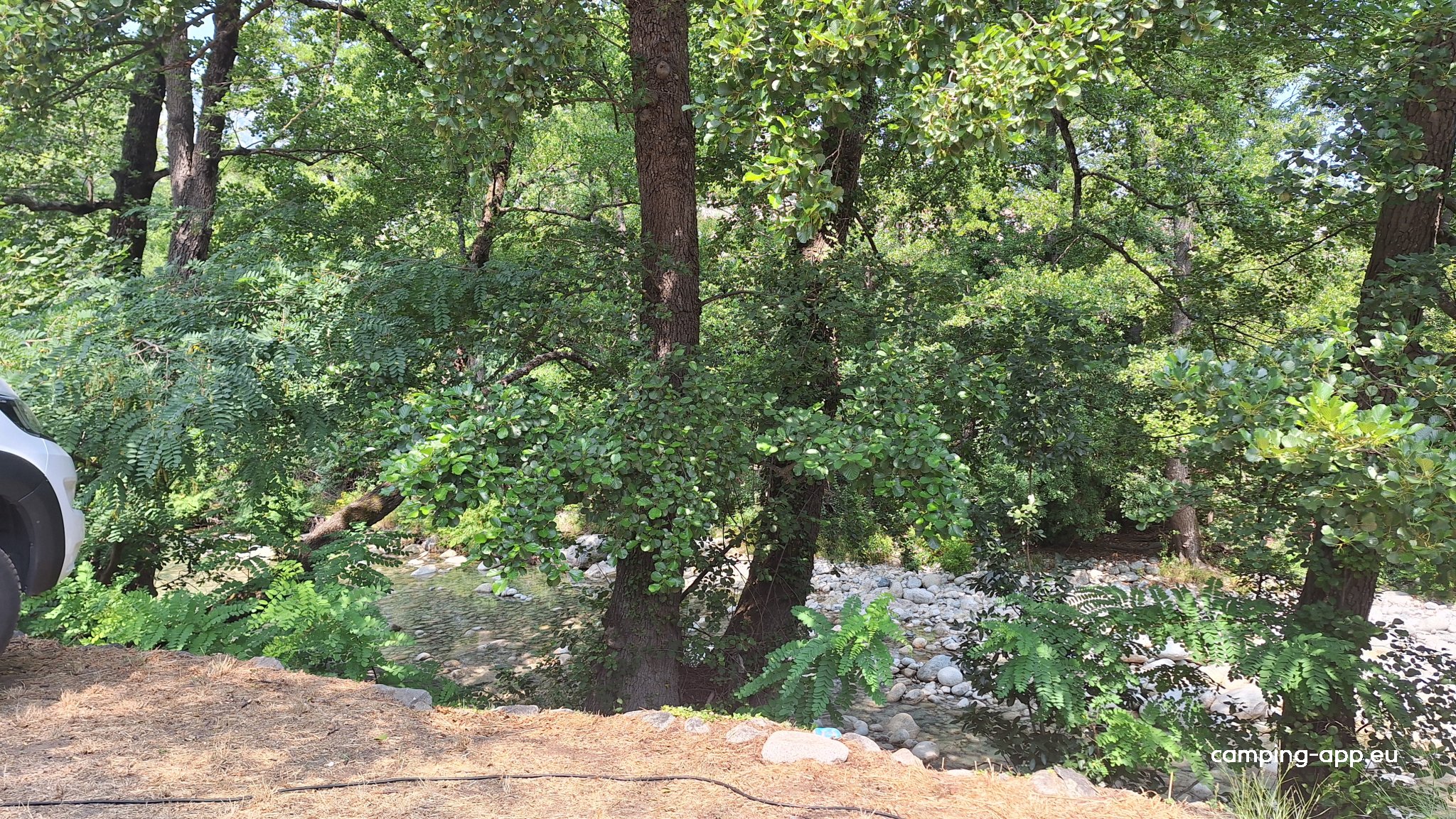 Camping Restonica — Foto 4