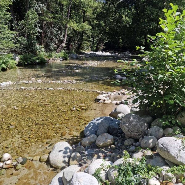 Camping Restonica — Photo 2