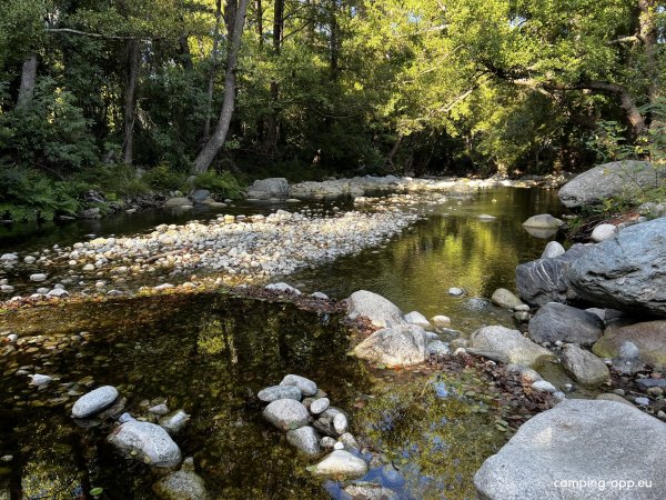 Camping Restonica — Foto 5