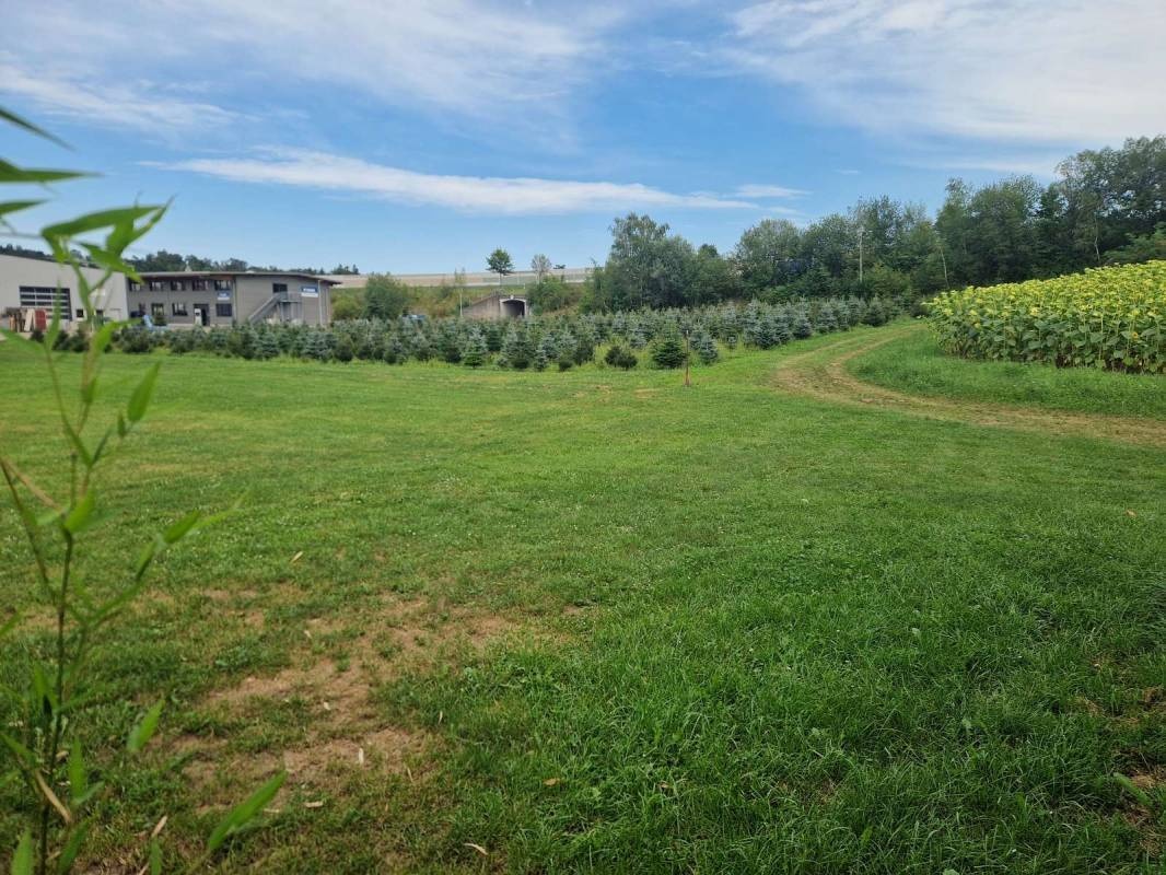 Camping im Grünen - optimal als Durchreise — Campervan Site in Kleinandelfingen