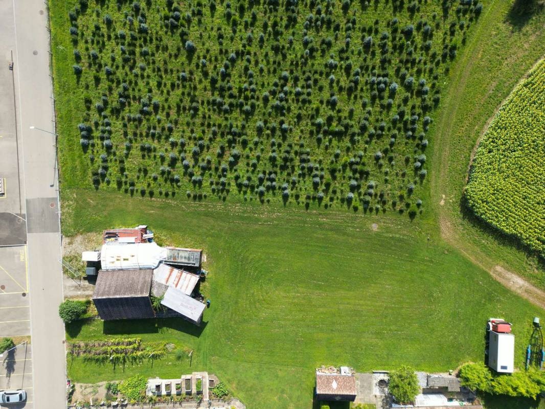 Camping im Grünen - optimal als Durchreise — Camperplads in Kleinandelfingen