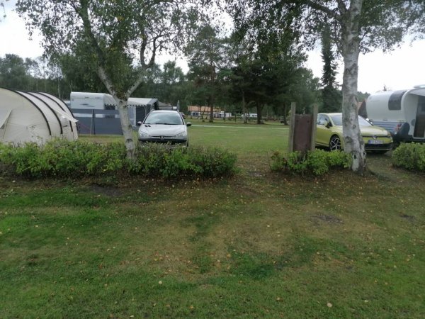 Bamsebo Camping — Photo 3