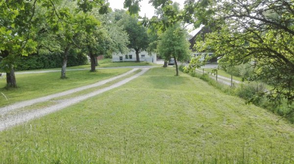 Waldcamping  Hüttenhof — Photo 2