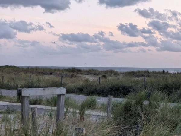 Stellplatz Strandvondst — Photo 4