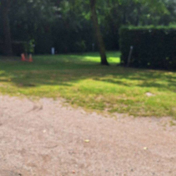 Camping Olmenveld — Photo 2