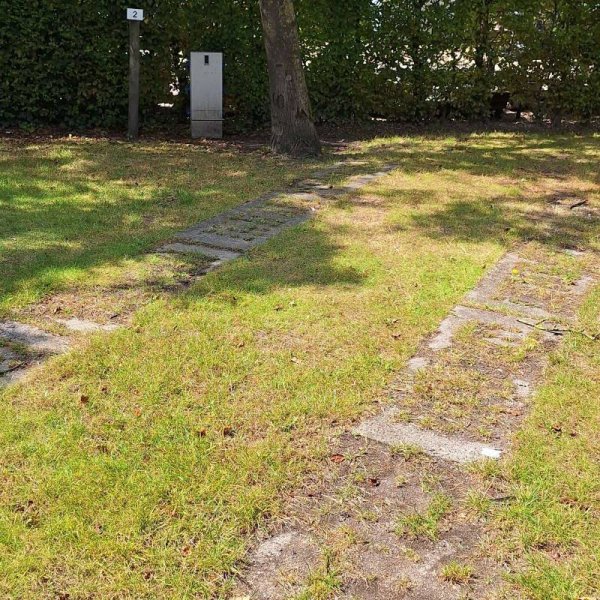 Camping Olmenveld — Photo 3