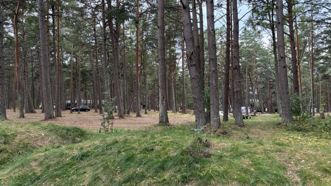 Camping Vērbeļnieki — Camping Site in Grīnvalti