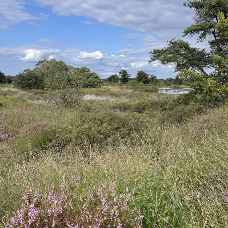 Camping De Kapel — Camping in Valkenswaard