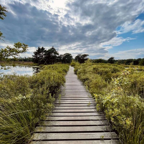 Camping De Kapel — Photo 2