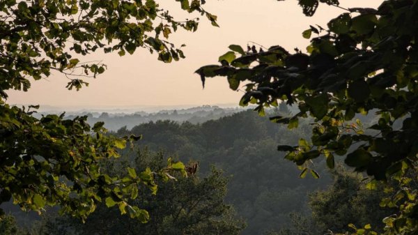 Camping Le Chazal - nature et tranquillité — Photo 3