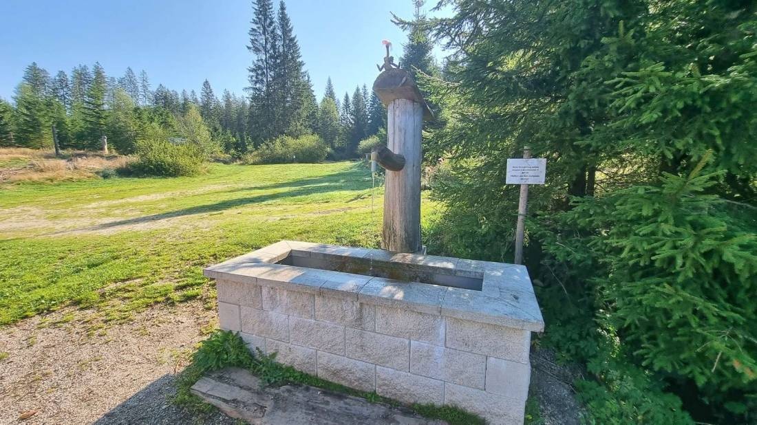 Camping Schlesingerteich — Camping in Gutenbrunn