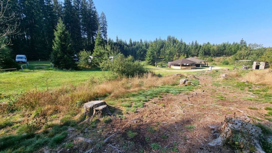 Camping Schlesingerteich — Campingplass in Gutenbrunn