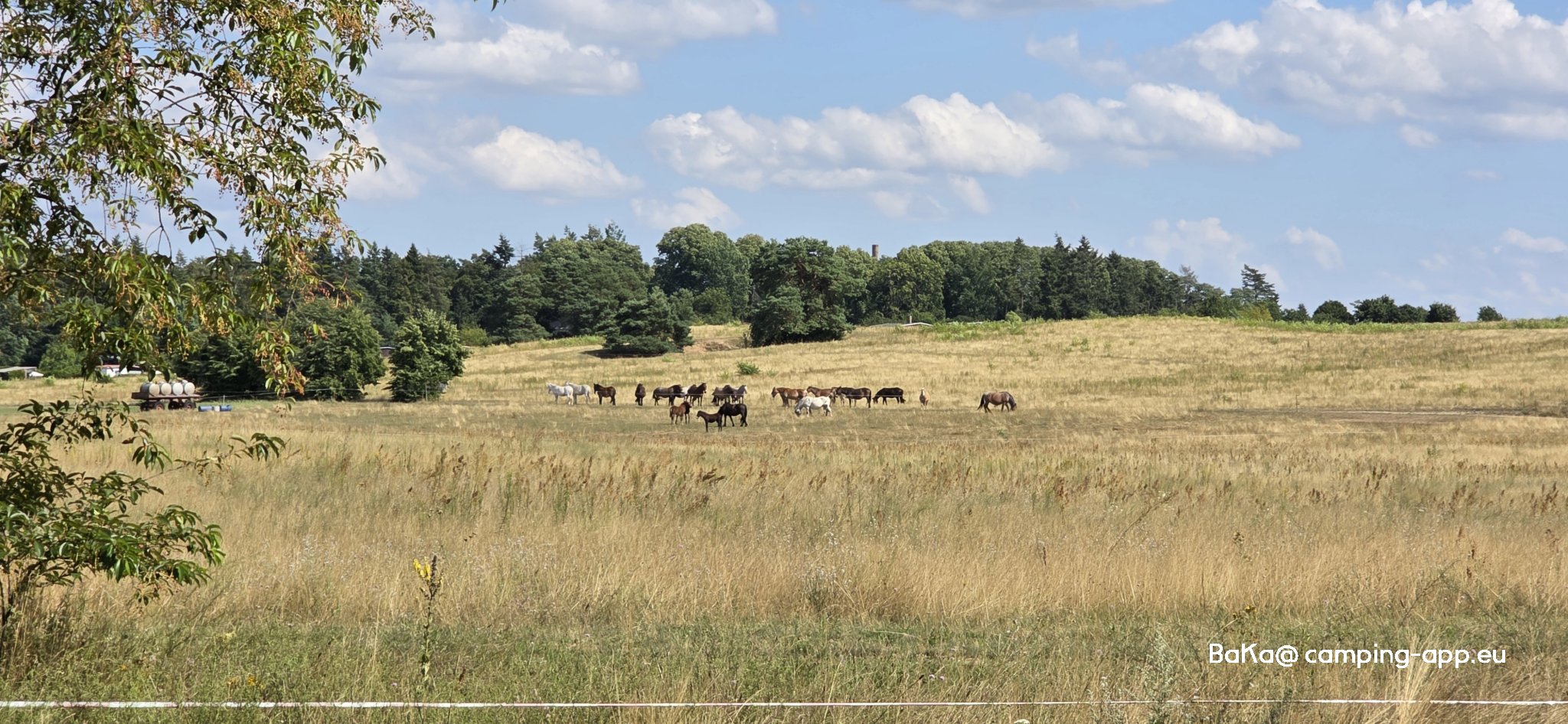 Strandbad Großer Lychensee — Foto 4