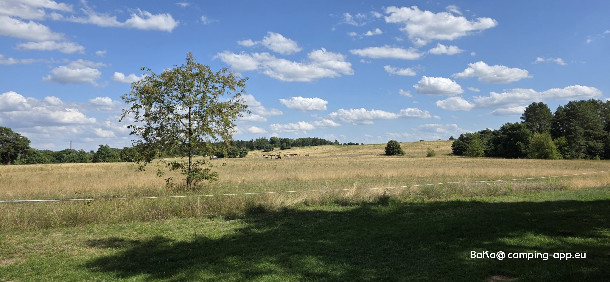 Strandbad Großer Lychensee — Foto 3