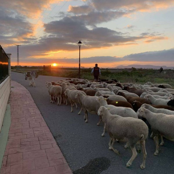 Area autocaravanas Cihuri — Photo 2