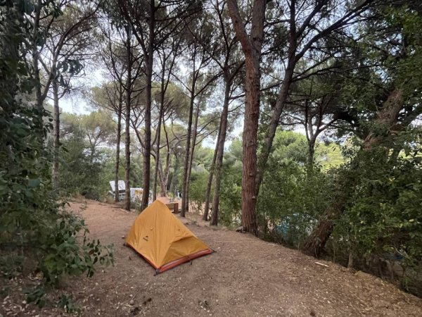 Agricampeggio Bioelba — Photo 2