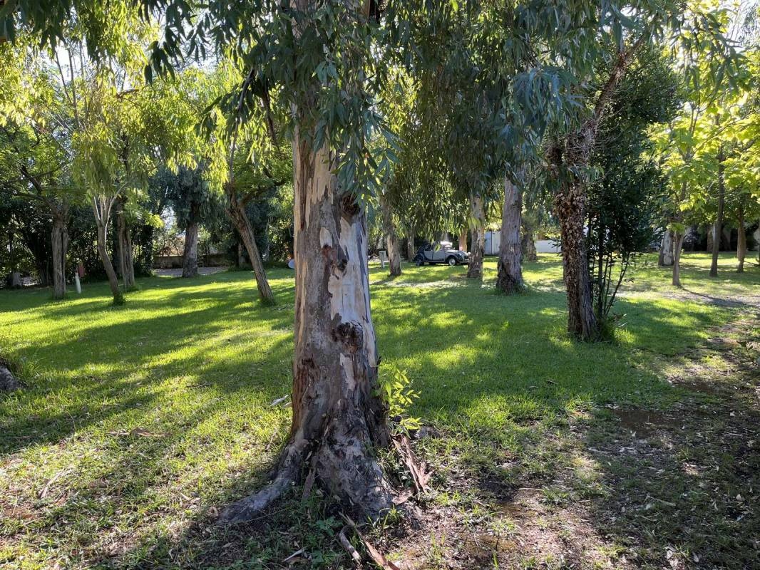 Camping Rubinya — Campingplatz in Pontecagnano Faiano