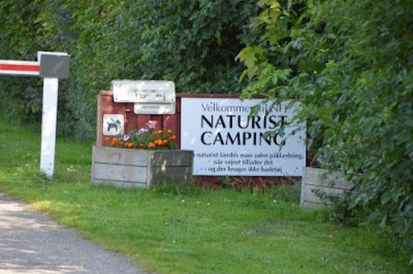 NFJ Naturist Familiencamping (FKK) — Photo 2
