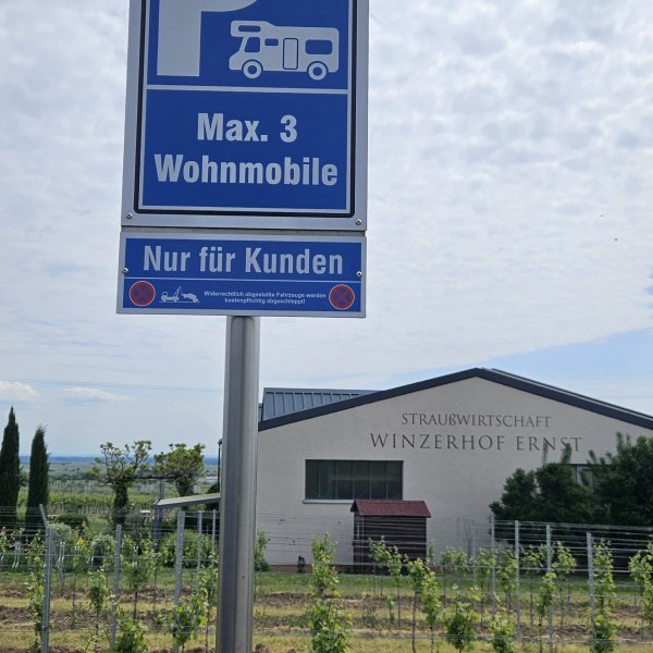 Winzerhof Ernst — Photo 6