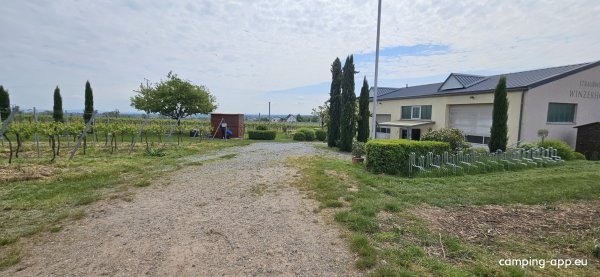 Winzerhof Ernst — Foto 3