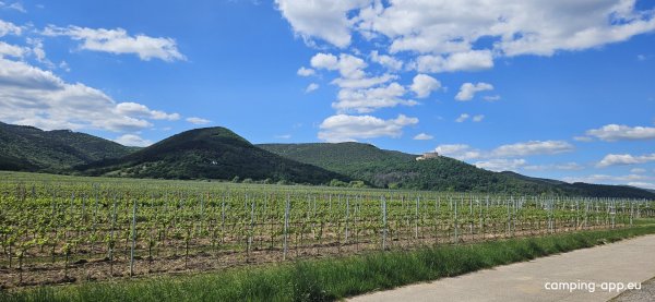 Winzerhof Ernst — Foto 5