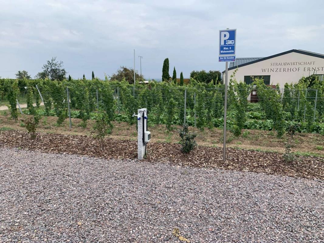 Winzerhof Ernst — Winery in Sankt Martin