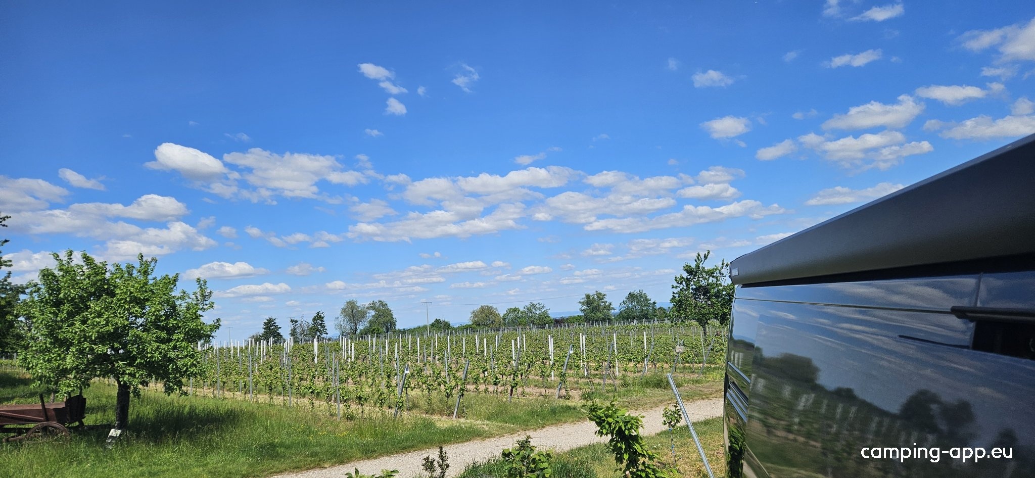 Winzerhof Ernst — Weingut in Sankt Martin
