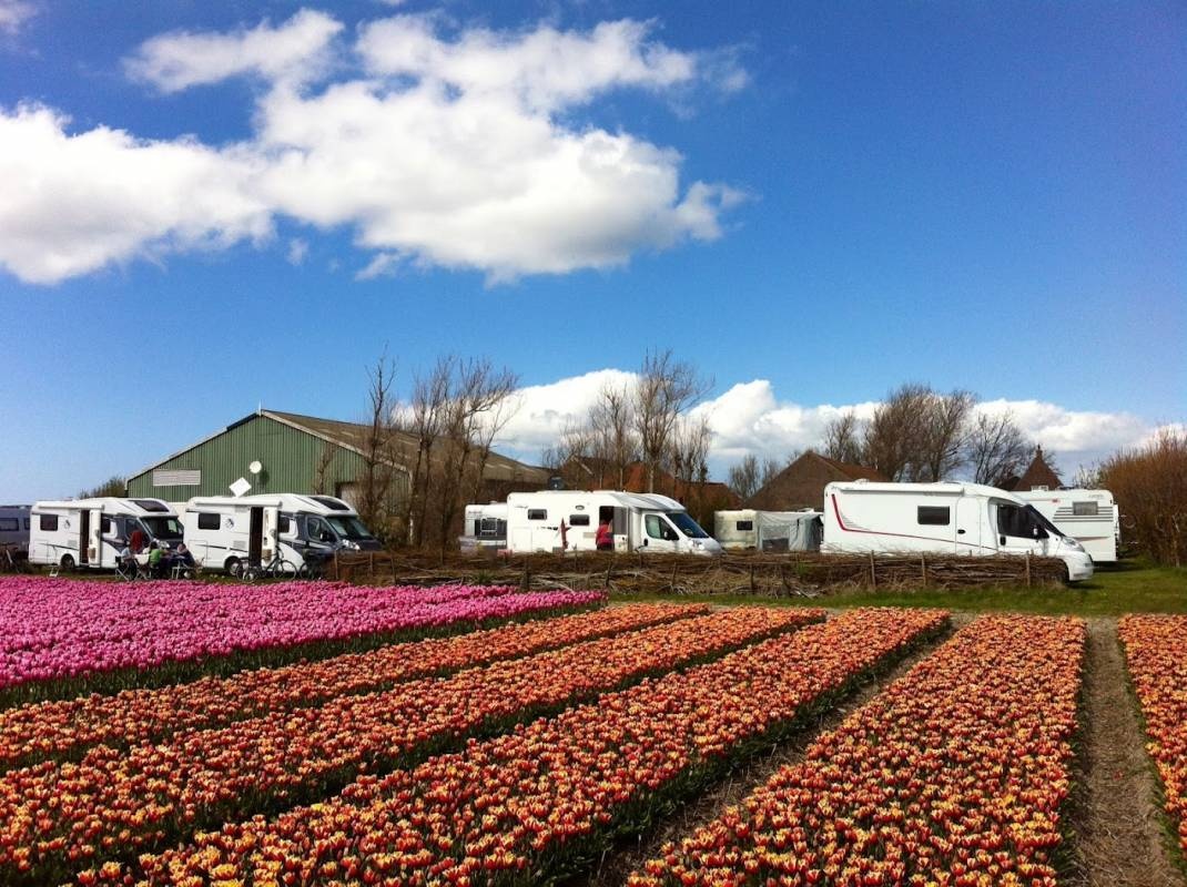 Camping Mariahoeve — Campingplatz in Julianadorp