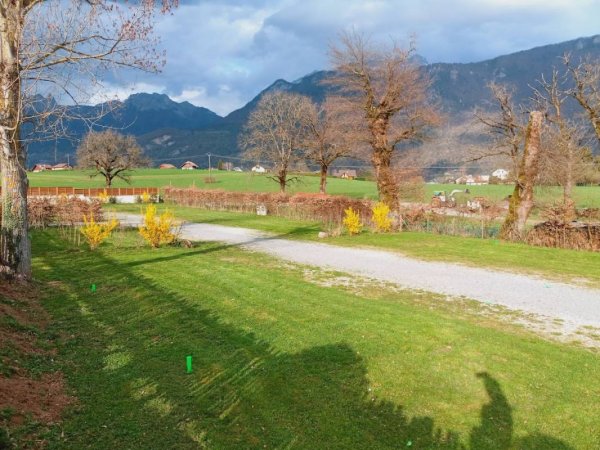 L'Hirondelle — Photo 2