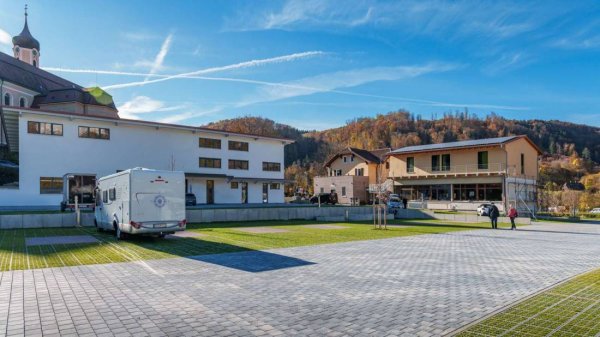 Camping Buck — Photo 3