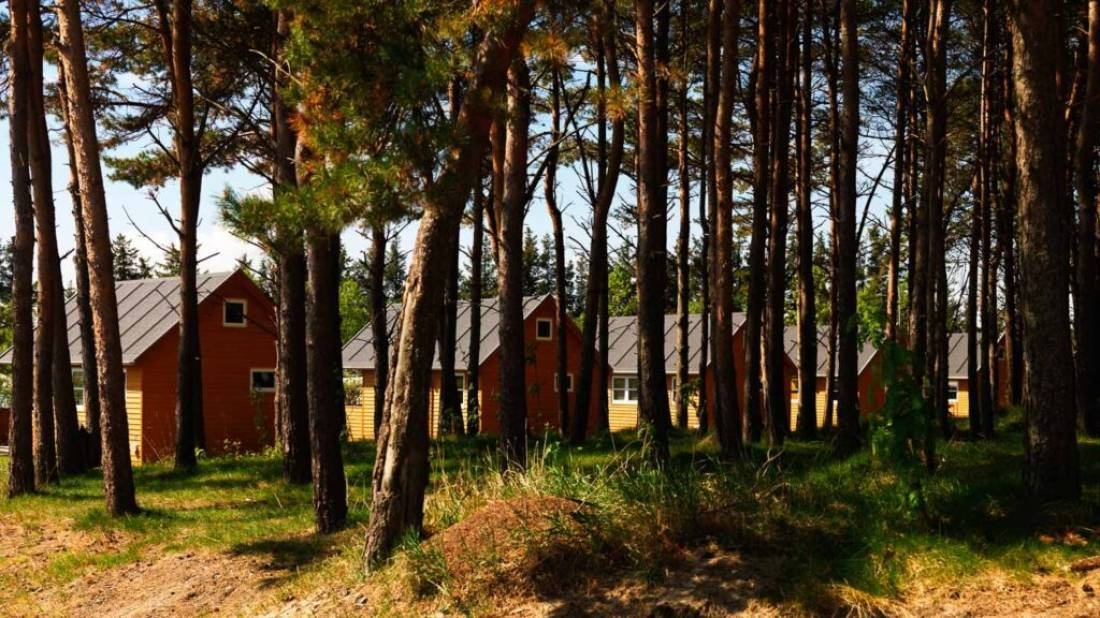 First Camp Råbjerg Mile - Skagen — Area da campeggio in Skagen