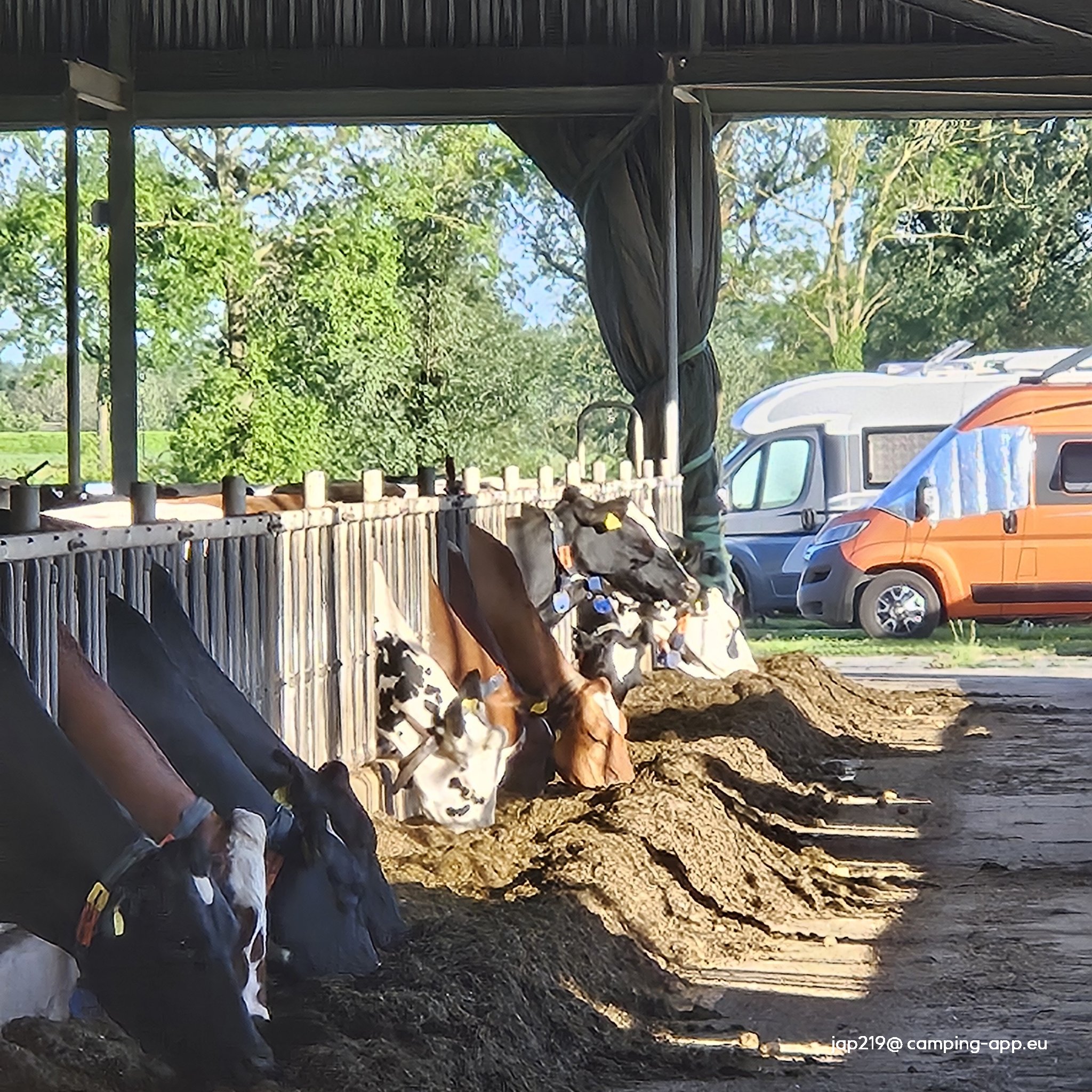 Campererf Biezenhoeve — Foto 3
