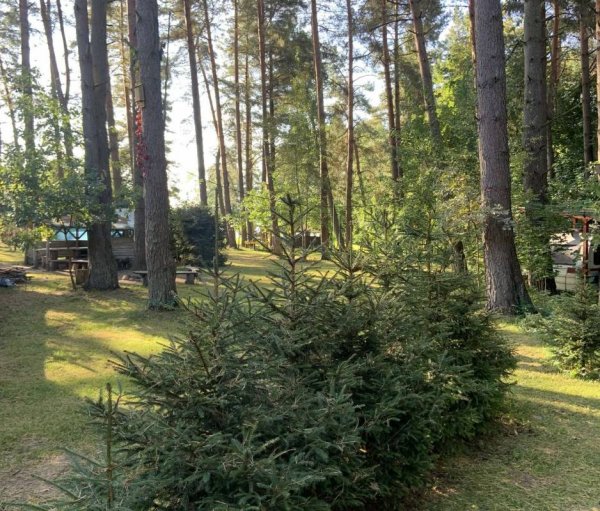 Jan-Mar — Photo 4