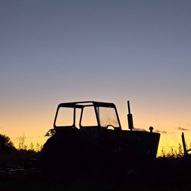 Lansdown Campsite — Cámping in Bath