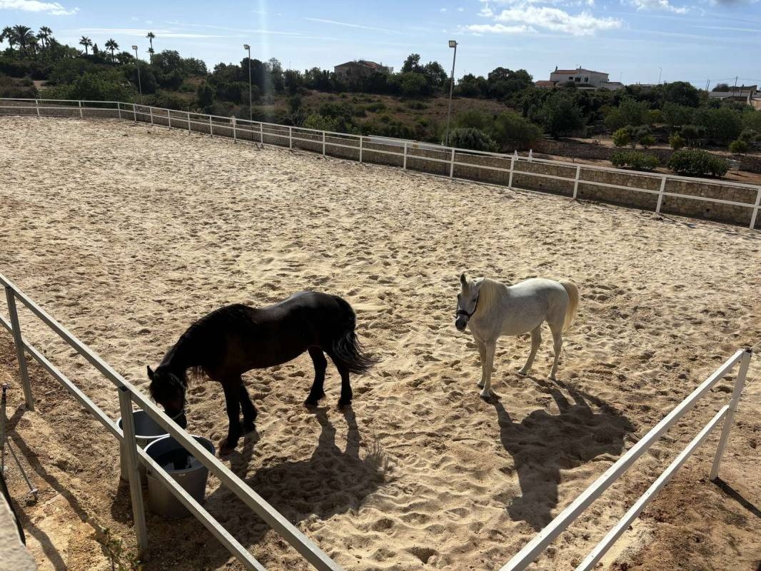 Camping Algarve Casa Lusitana — Campingplads in Estômbar