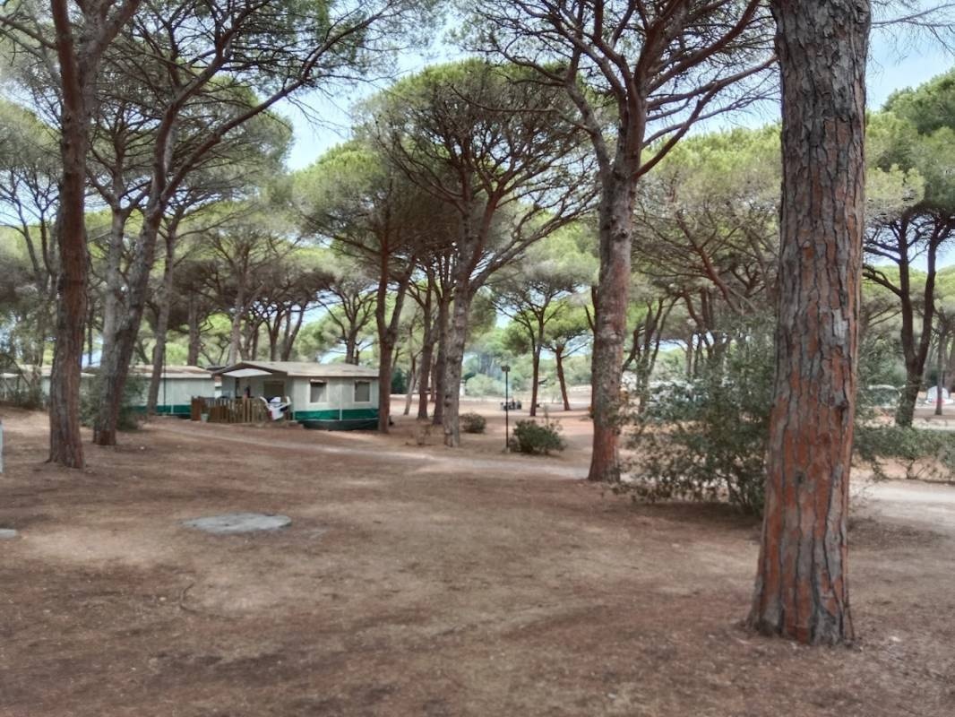 S‘ena Arrubia Camping — Campingplatz in Arborea