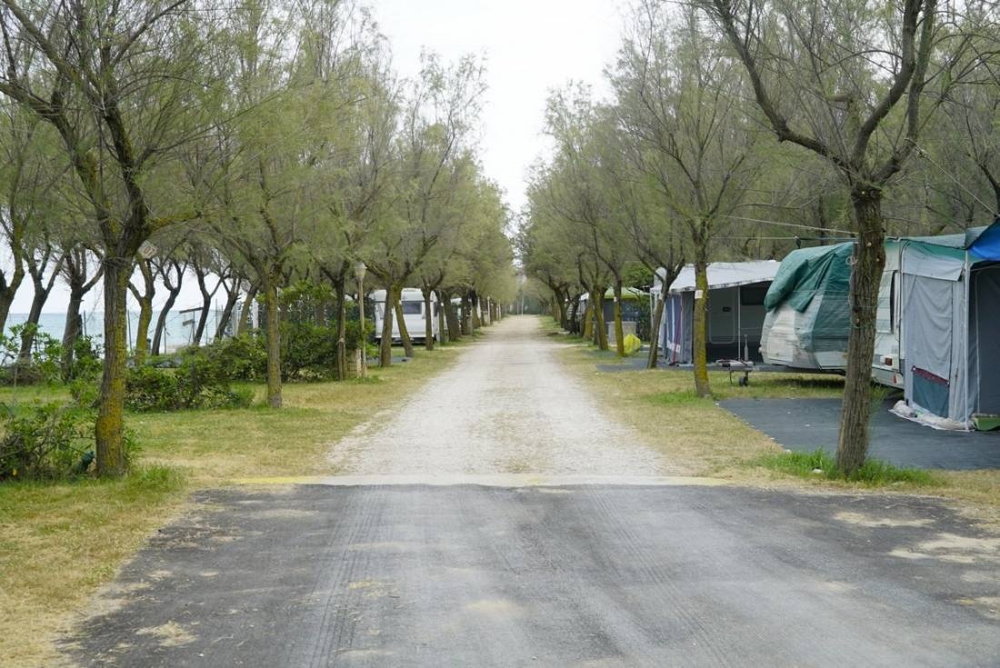 Camping la Pineta — Kemp in Porto Recanati