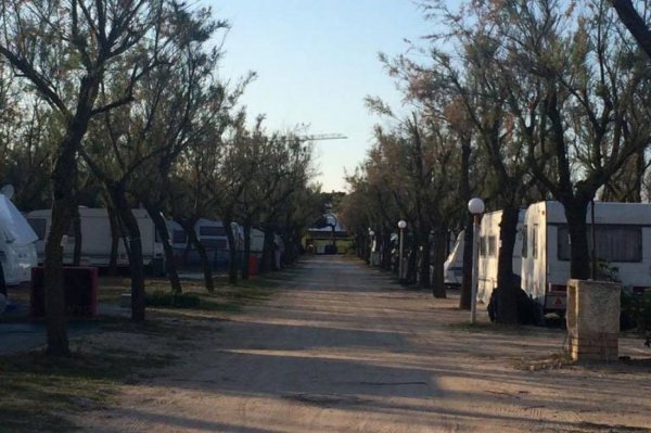 Camping la Pineta — Photo 2