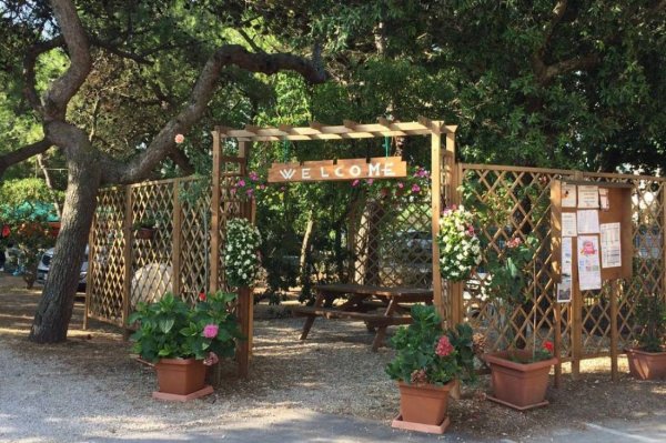 Camping la Pineta — Photo 3