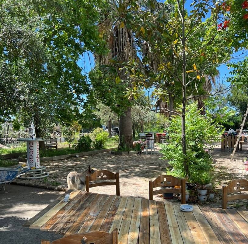 Pata Camping — Campingplass in Fushë-Kuqe