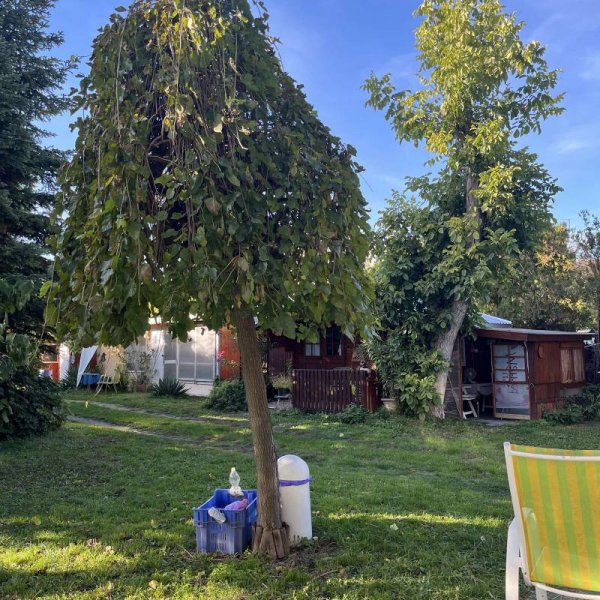 City Camping — Photo 5