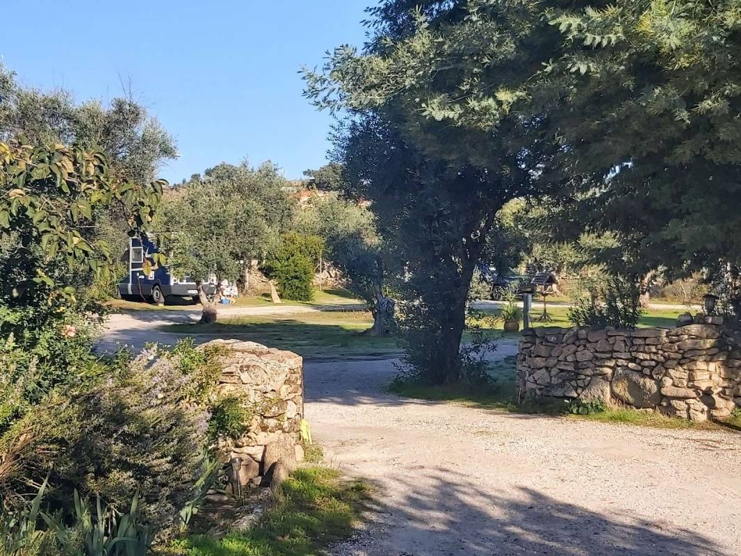 Camping asseiceira — Area da campeggio in 
