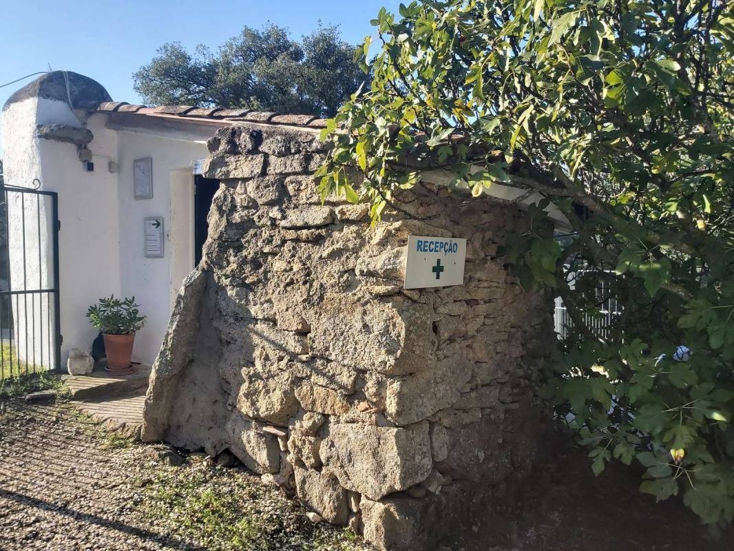 Camping asseiceira — Kamp yeri in 