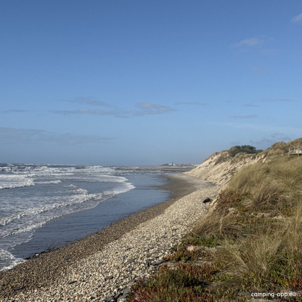 Parque de Campismo de Belinho — Photo 4