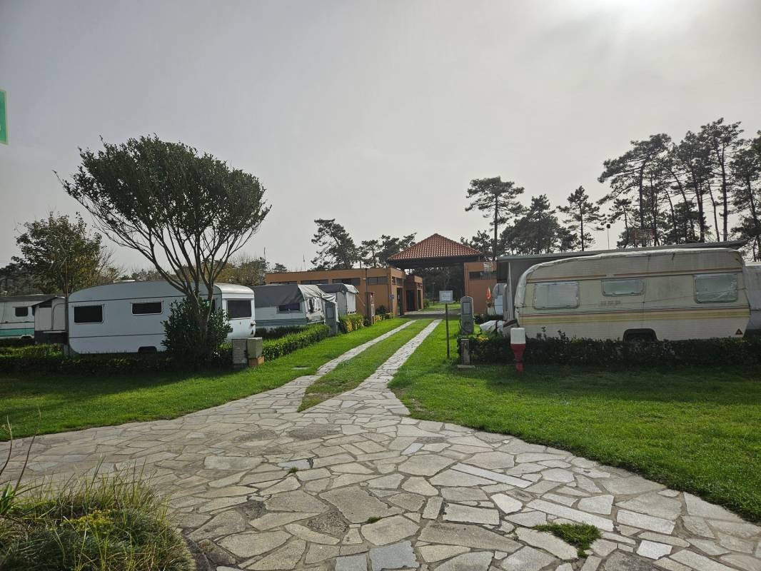 Parque de Campismo de Belinho — 露营地 in 