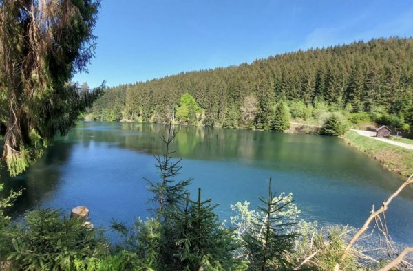 Festenburg — Photo 2