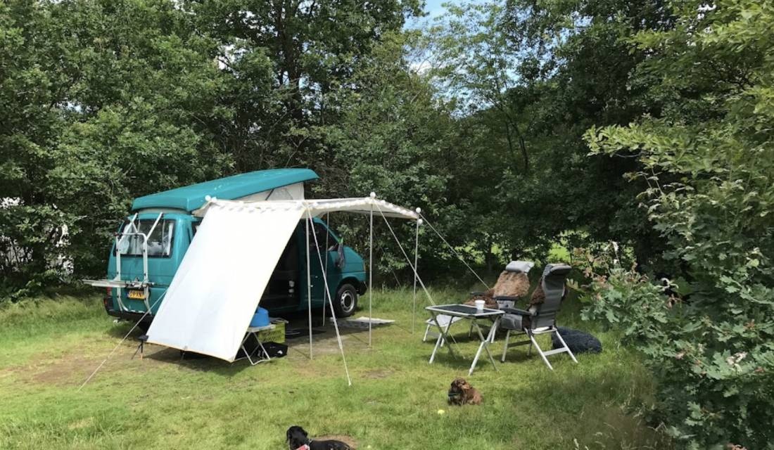 Natuurkampeerterrein De Klashorst — Campingplatz in Diffelen